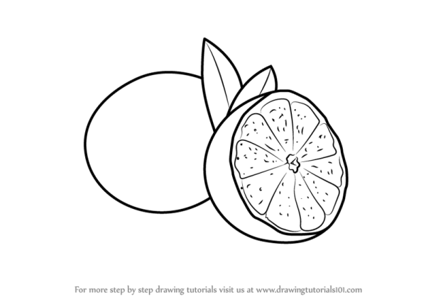 Лайм раскраска для детей