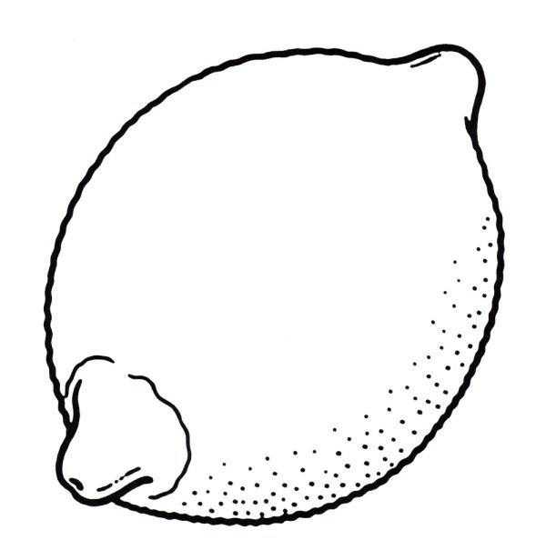 Лимон раскраска