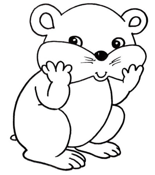 Хомяк рисунок карандашом для детей