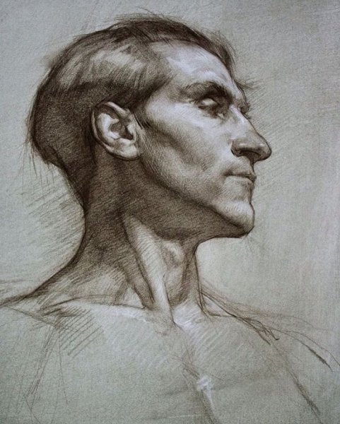 Colleen Barry художник