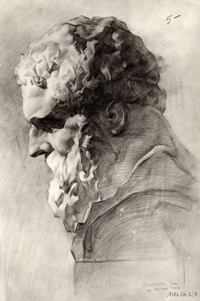 Академия художеств Репина гипсовые головы