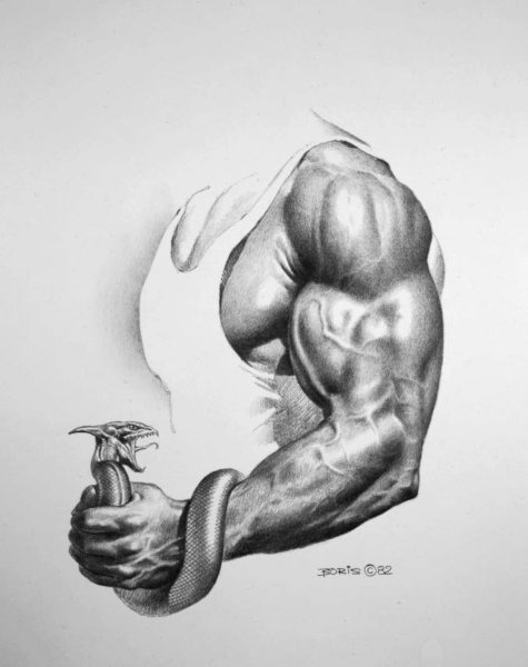 Рисунки карандашом фэнтези