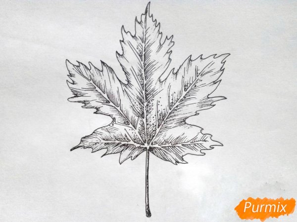 Листик карандашом