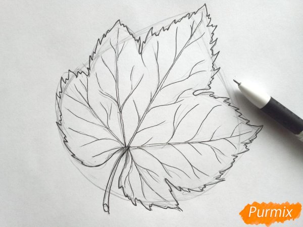 Нарисовать кленовый лист пошагово