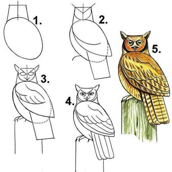Рисунки карандашом легкие для срисовки детей