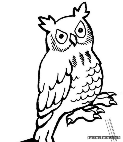 Трафарет Совушки