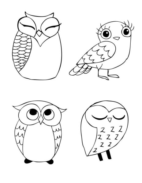 Раскраска Букля из Гарри Поттера