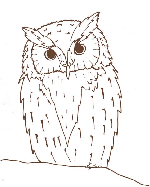 Эскиз Совы для аппликации