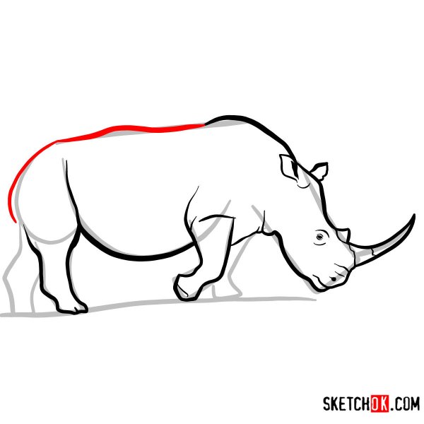 Носорог карандашом для детей