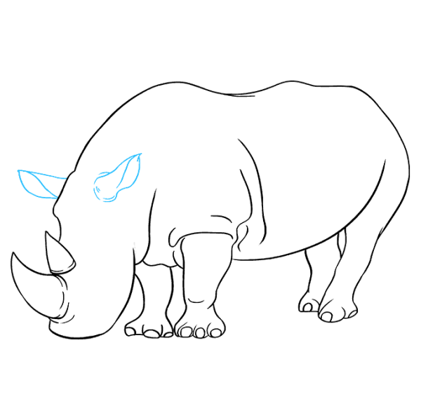 Носорог рисунок карандашом