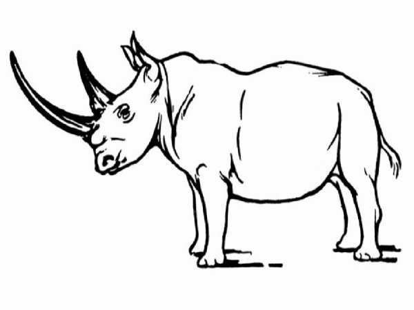 Носорог контур