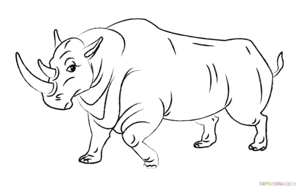 Носорог контурный рисунок