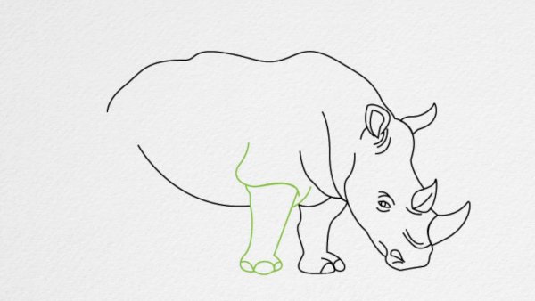 Носорог рисунок карандашом