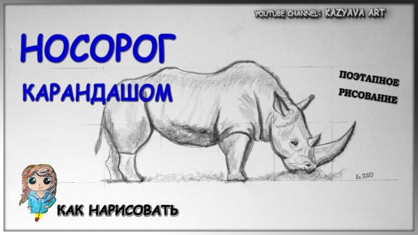 Мастер носорог нарисовать