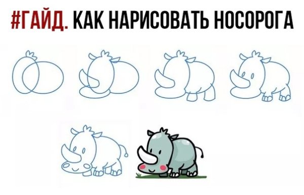 Поэтапное рисование носорога для детей