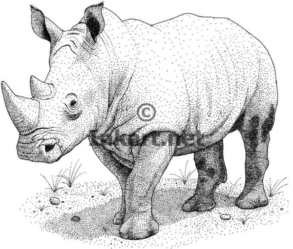Носорог арт
