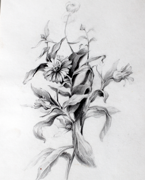 Мелкие цветы эскиз