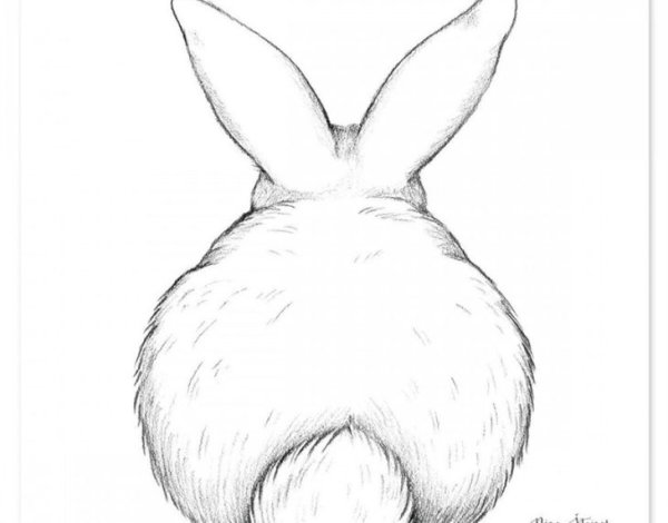 Зайчик рисунок карандашом