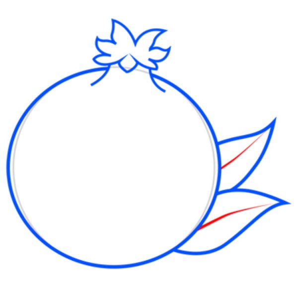 Как нарисовать гранат