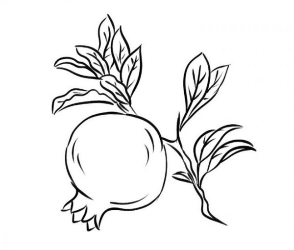 Раскраска фрукты гранат
