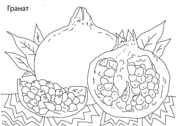 Гранат для раскрашивания