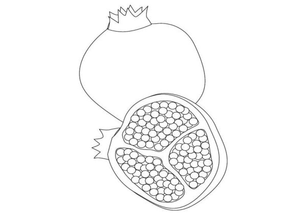 Гранат поэтапное рисование