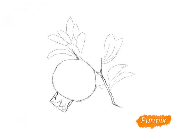 Гранат для раскрашивания