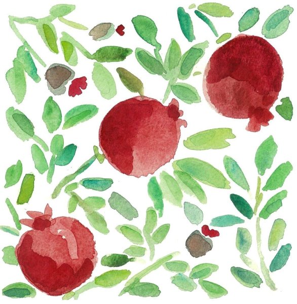 Гранат поэтапное рисование