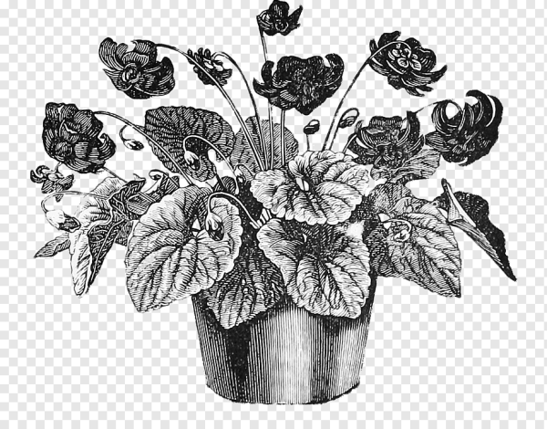 Горшок для цветов для рисования