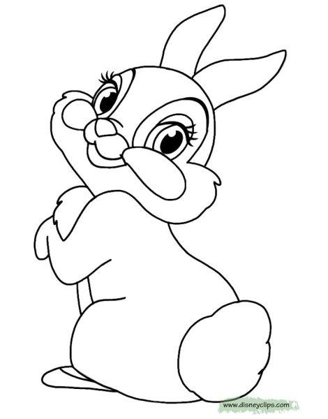 Раскраска «Зайка»