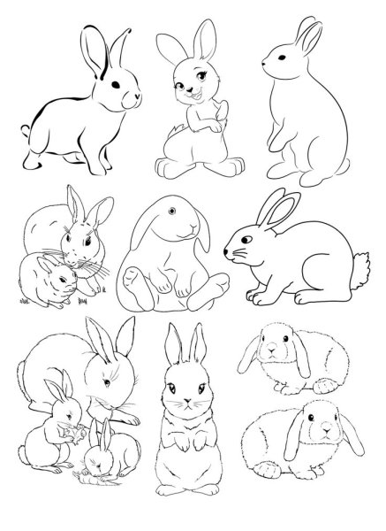 Заяц и Зайчонок раскраска