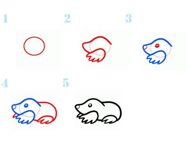 Поэтапный рисунок крота