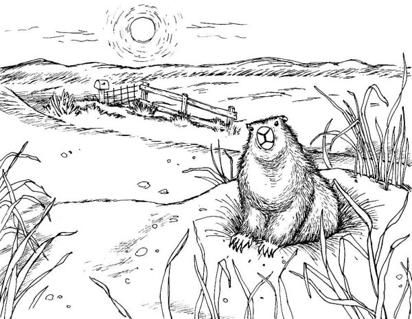 Крот картинка для детей раскраска