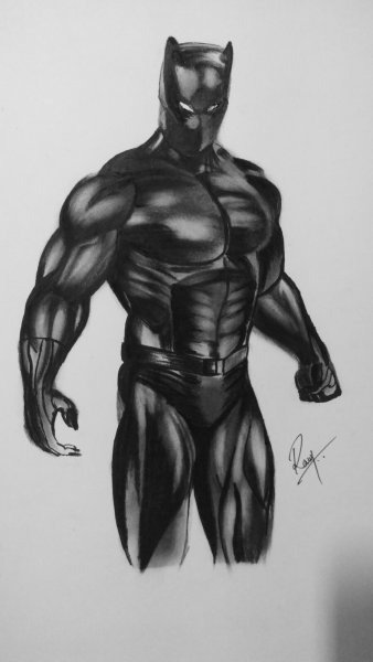 Серная пантера рисунок