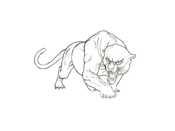 Черная пантера Марвел срисовать