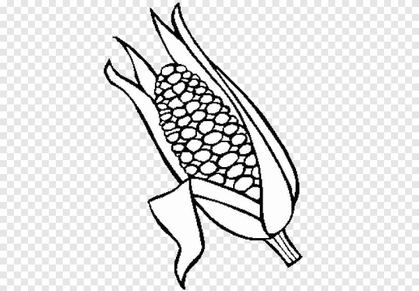 Кукуруза раскраска для детей