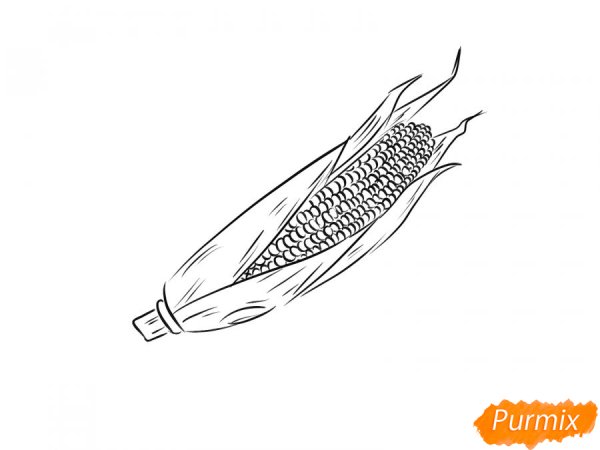 Нарисовать кукурузу карандашом