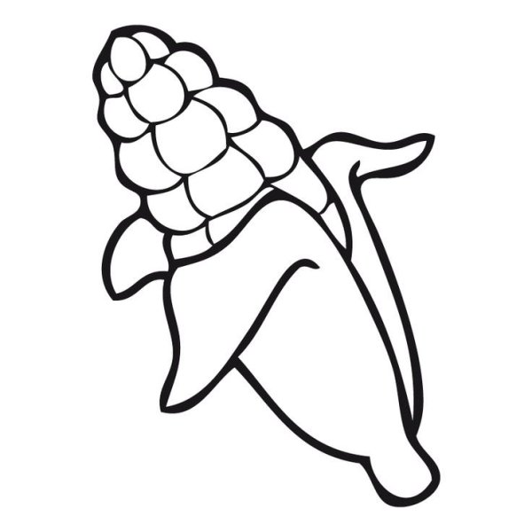 Кукуруза раскраска