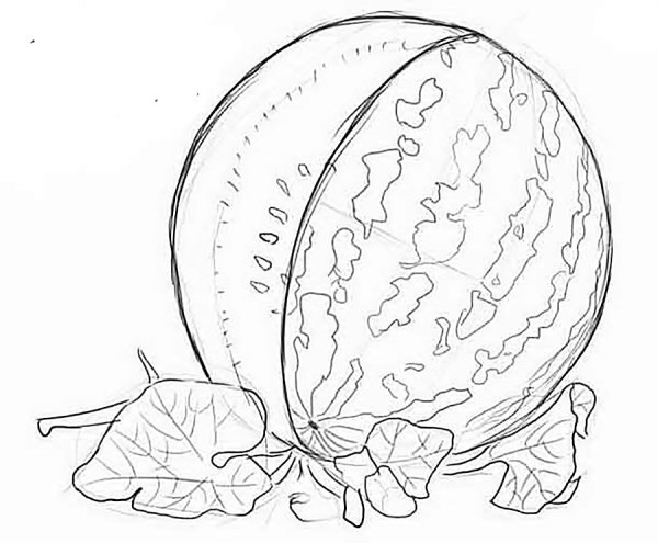 Арбуз карандашом