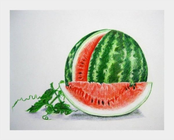 Арбуз простым карандашом