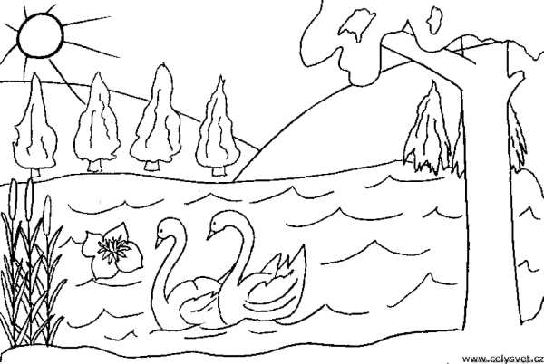 Чудеса природы рисунок