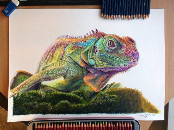 Профессиональные портреты цветными карандашами