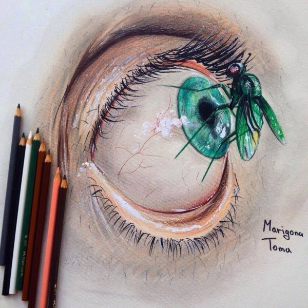 Профессиональное рисование