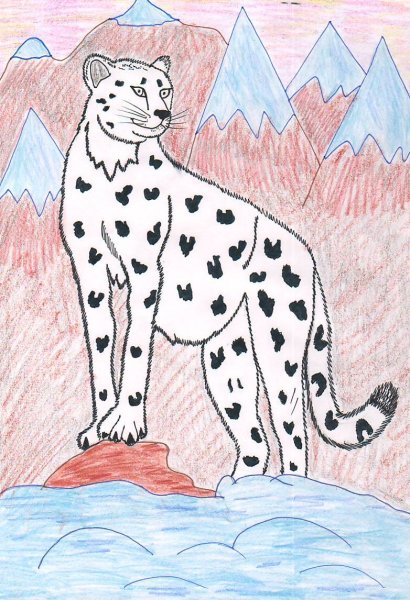 Снежный Барс карандашом