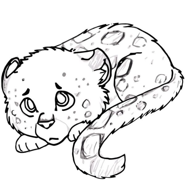 Снежный Барс раскраска для детей