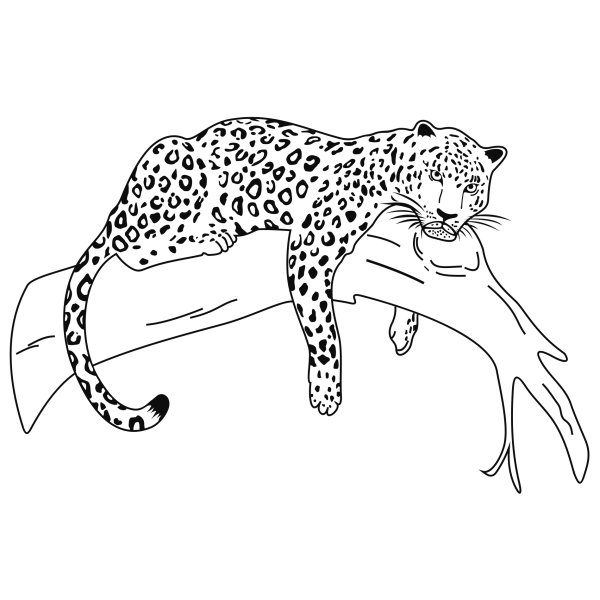 Животные из красной книги рисовать снежный Барс