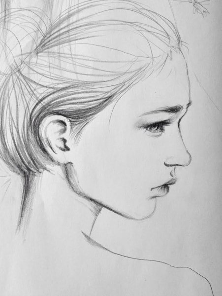 Зарисовка лица в профиль