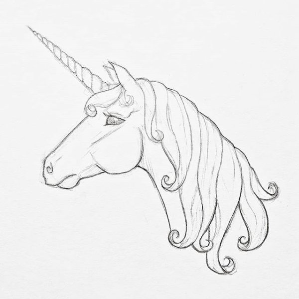 Единорог зарисовка