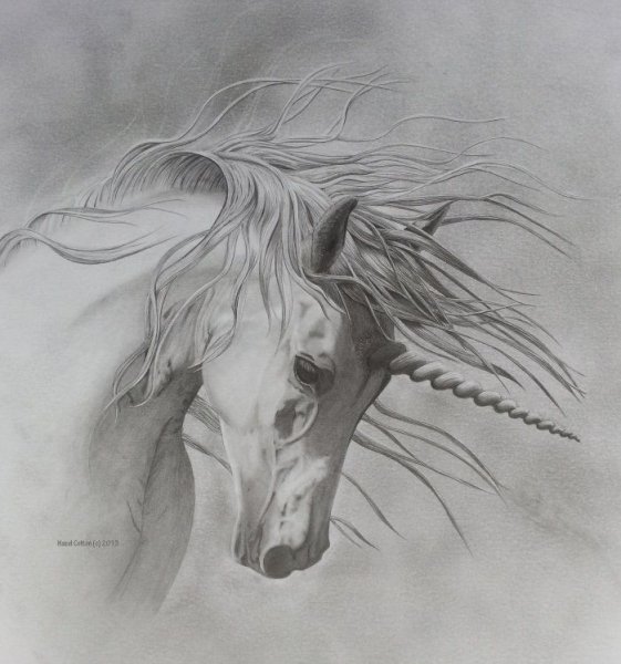 Единорог рисунок для срисовки карандашом