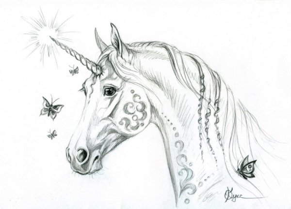Единорог скетч портрет